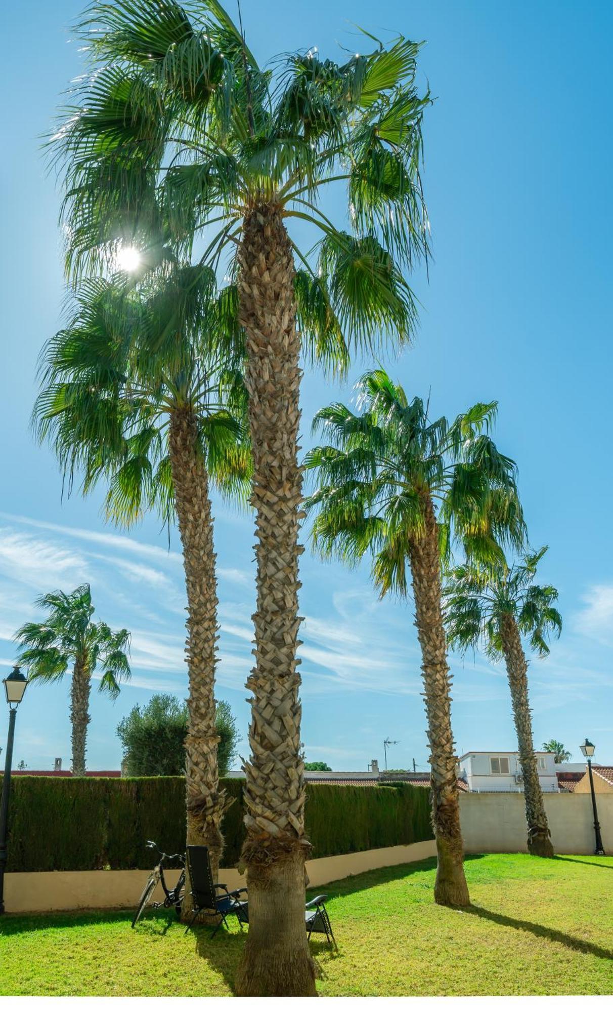 Club Salino Hideaway-Your Peaceful Retreat With Pool In Torrevieja Luaran gambar